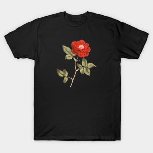 Red Rose Flower Botanical Illustration T-Shirt